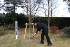 高橋副会長　土入れ